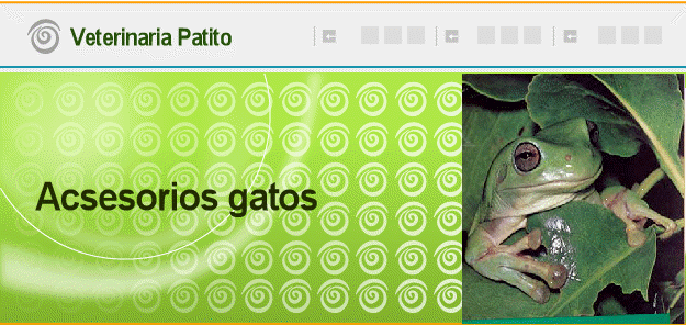 Acsesorios gatos