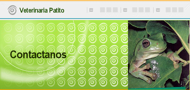 Contactanos